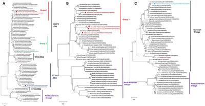 Characterization of Subtype H6 Avian Influenza A Viruses Isolated From Wild Birds in Poyang Lake, China